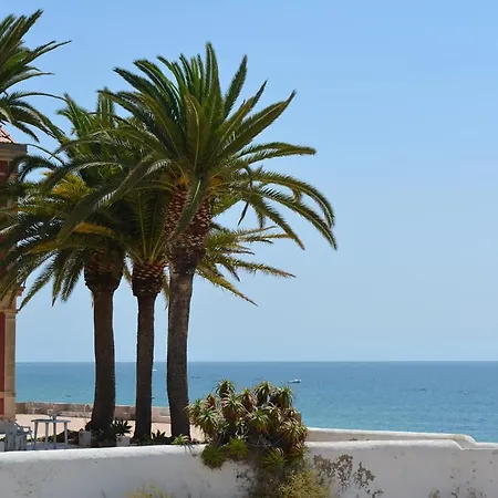 Apartamento Jasmine 6 E